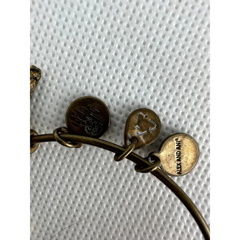 Alex and Ani great preowned